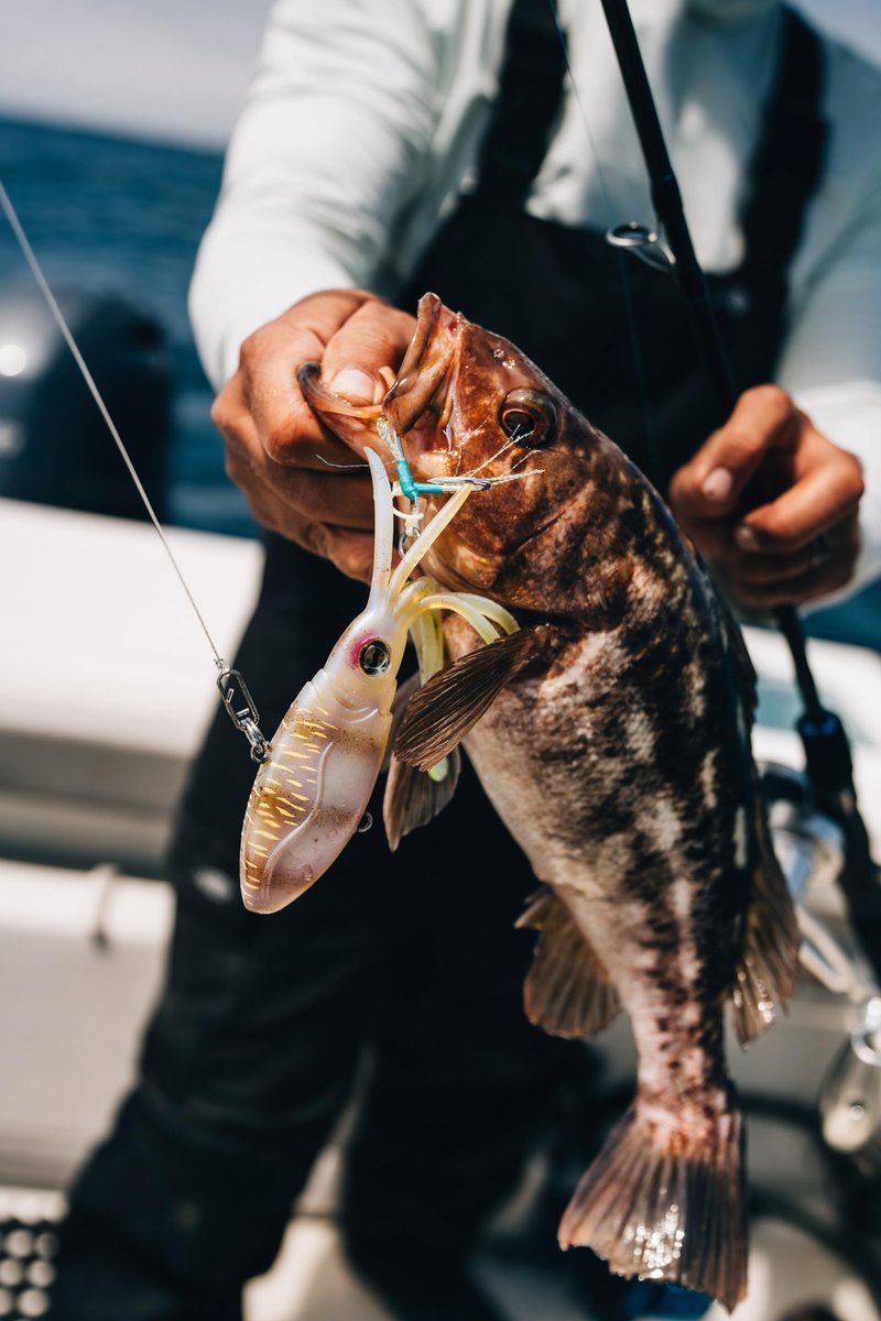 Nomad Design Squidtrex Patented Vibrating Fishing Lure- Scent Added TPE Soft Plastic Lure for Saltwater w/Strong BKK Assist Hooks, Fishing Bait that catches many species,110mm,1 3/4oz Green Gold Gizzy