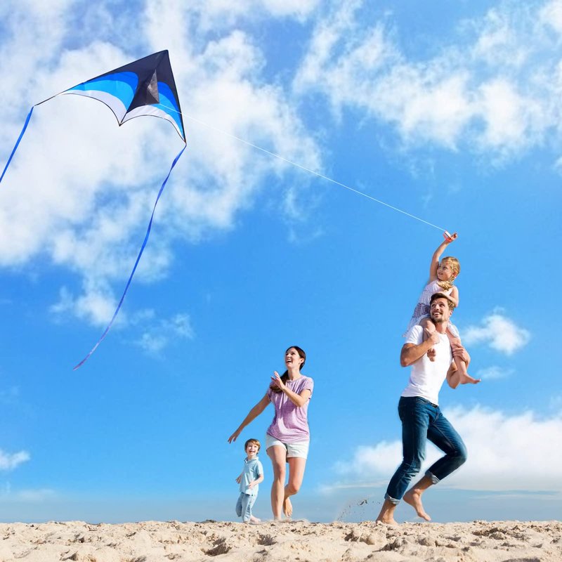 Mint's Colorful Life Delta Kite for Kids & Adults, Easy to Fly Kites with 2 Ribbons and 300ft Kite String, Best Kites for Beginner(Blue)