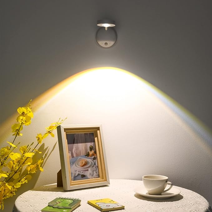 Wireless Picture Light Set of 2, Battery Operated Art Display Light with Motion Sensor and Rotatable Tube