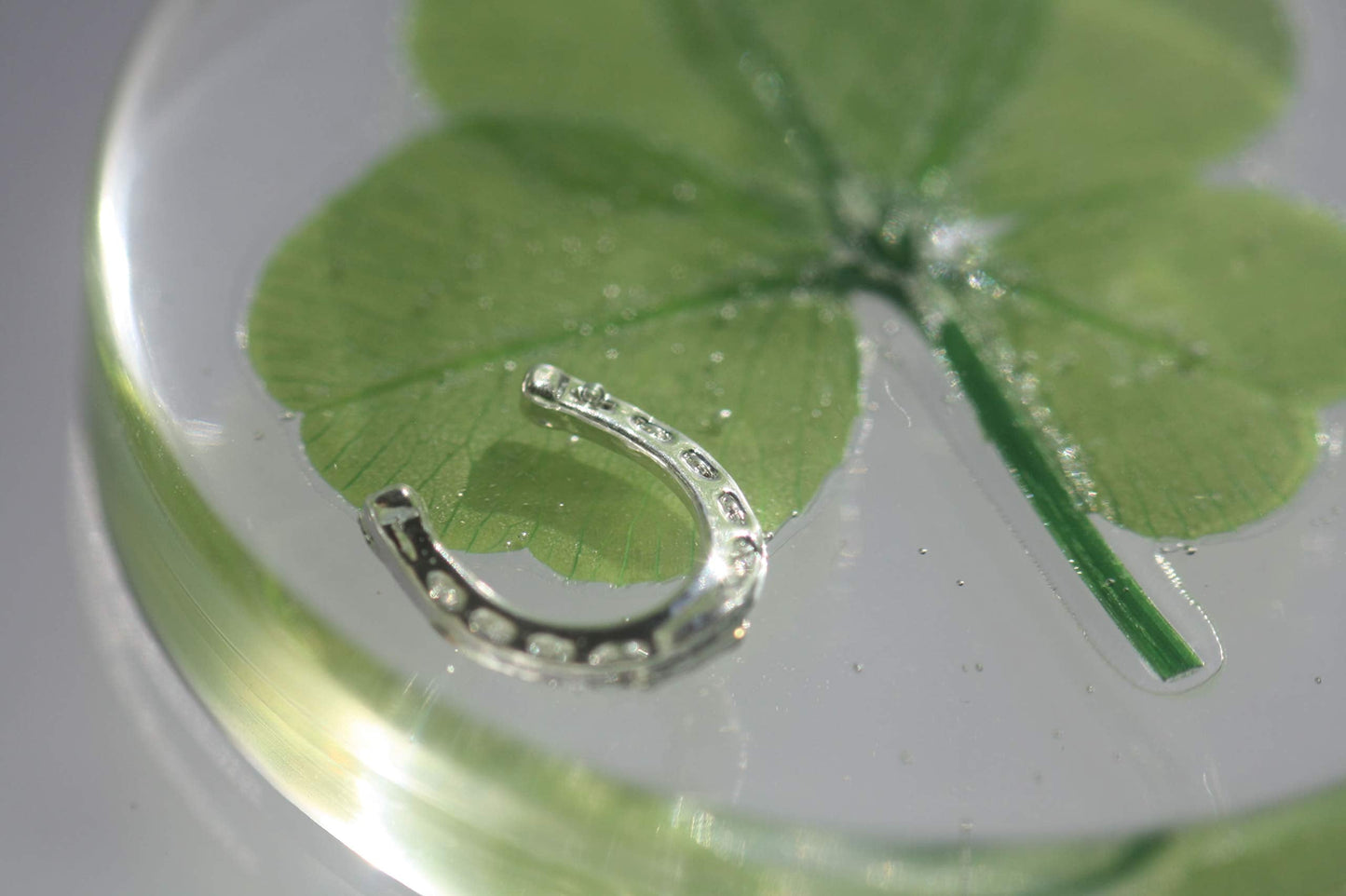 Real Four Leaf Clover Good Luck Pocket Token, Preserved, 1.25”, Including Metal Horseshoe Object (Silver)