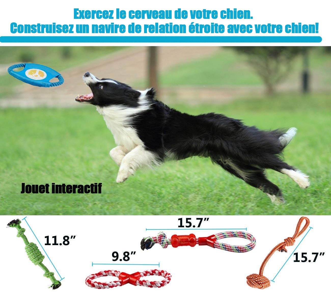 FONPOO Dog Toys Avoiding Dogs Boredom Anxiety Puppy Toys for Small&Medium Dog Rope Toy Birthday Gift Sets (Blue, Set of 10)