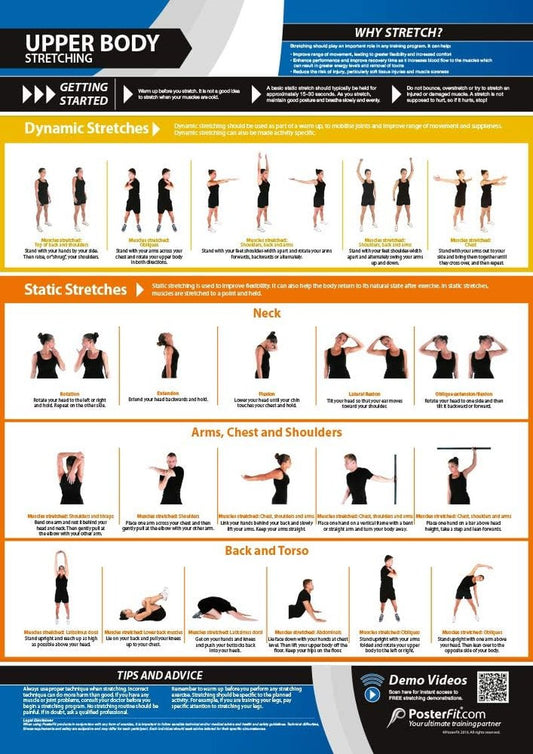 Upper Body Stretching Gym Poster - Dynamic & Static Stretches - Extra Large 33” x 23.5” - Laminated | Includes Online Video Training Support