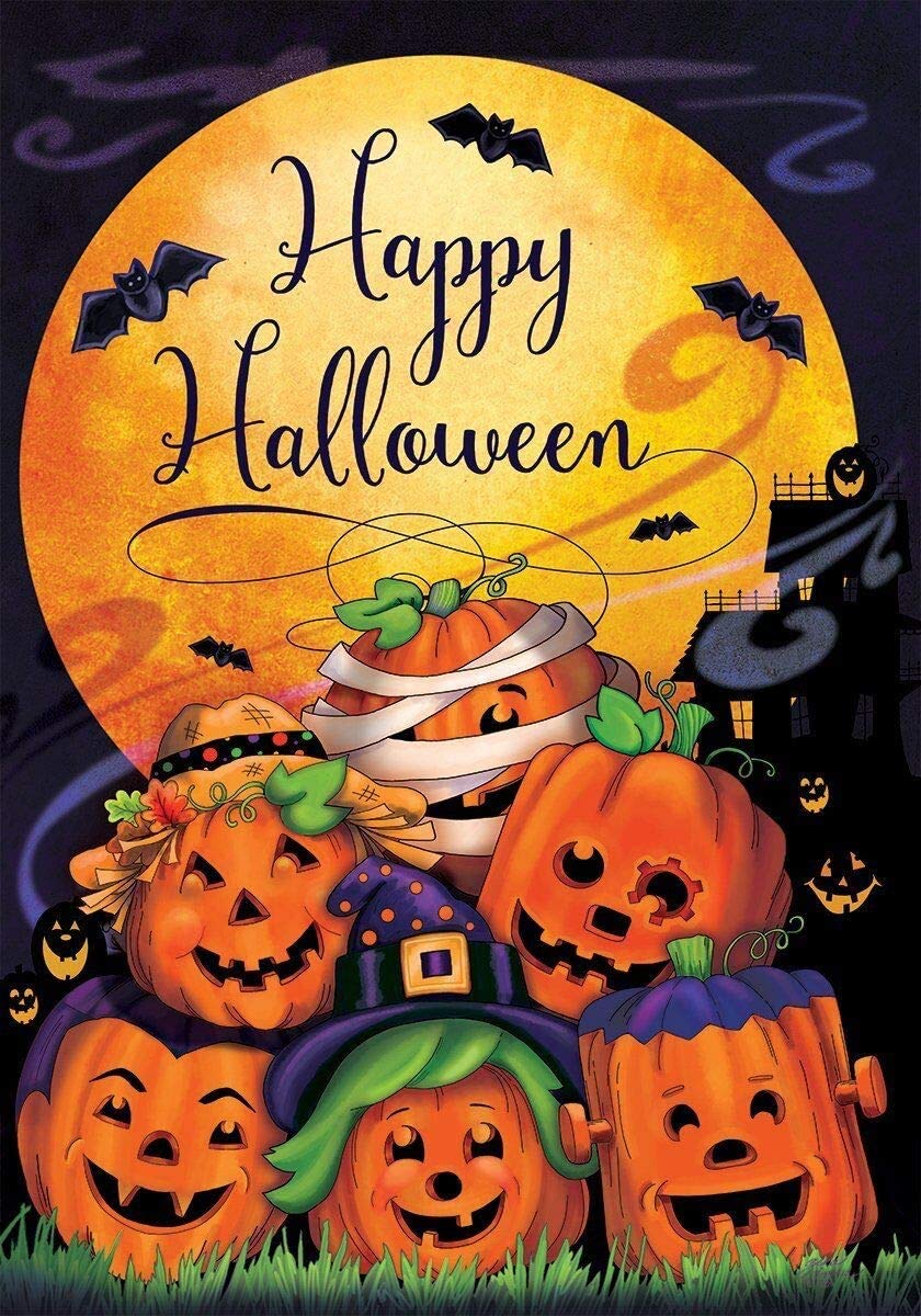 Dtzzou Happy Halloween Pumpkin House Flag 28" x 40" Outdoor & Indoor Decorative Double Sided Flag for Halloween Decoration