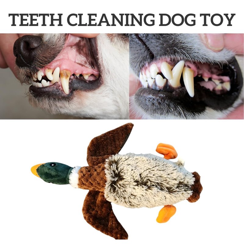 Duck Dog Toy Squeak Toys | Mallard-Shaped | Shaped Pet Toys | Duck Dog Toys for Large Dogs | Mallard Dog Toy | Dog Chew Toys | Stuffed Toys Interactive Animal.