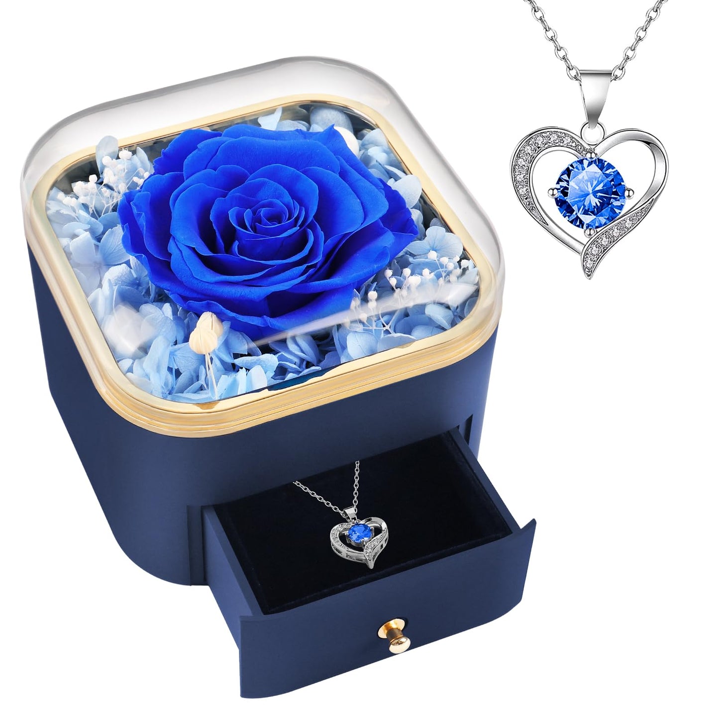 Beferr Valentines Day Gifts for Her Preserved Real Rose with Necklace Eternal Roses Forever Flowers for Delivery Prime Mothers Anniversary Birthday Gifts for Women Mom Grandma Wife Daughter Girlfriend