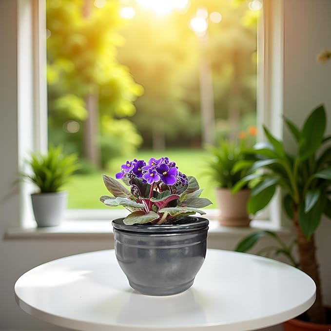 African Violet Pots Self Watering Round Ceramic Violet Pot (Gray, 6 inch)