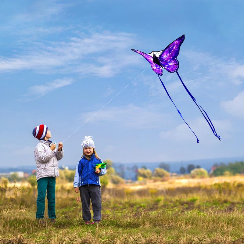 Mint's Colorful Life Butterfly Kite for Kids & Adults, Easy to Fly Kite for Beach, Large Single Line Kite with Long Tail &300ft Kite String (Purple)