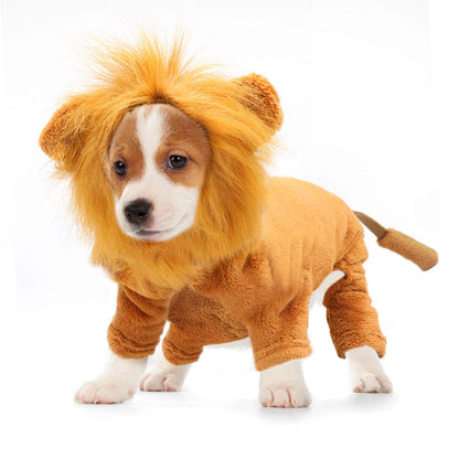 Rypet Dog Lion Costume Pet Clothes for Halloween Party Simulation Lion Pets Outfits Cosplay Dress up Clothes Pet Lions Hoodie Cat Costume for Party