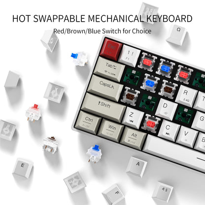 NEWMEN GM610 Wireless Mechanical Keyboard,60% USB C Wired/Bluetooth/2.4Ghz RGB Backlit Compact Hot Swappable Keyboard,White Anti-Ghosting PC Mac Windows Android Gaming Keyboards(Red Switches)