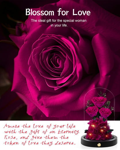 Valentines Day Flowers Roses Gifts for Her,Forever Real Preserved Roses in Glass Dome,Valentines Day Anniversary Birthday Gifts for Wife Girlfriend Women Mom Best Friend Her/Purple Rose