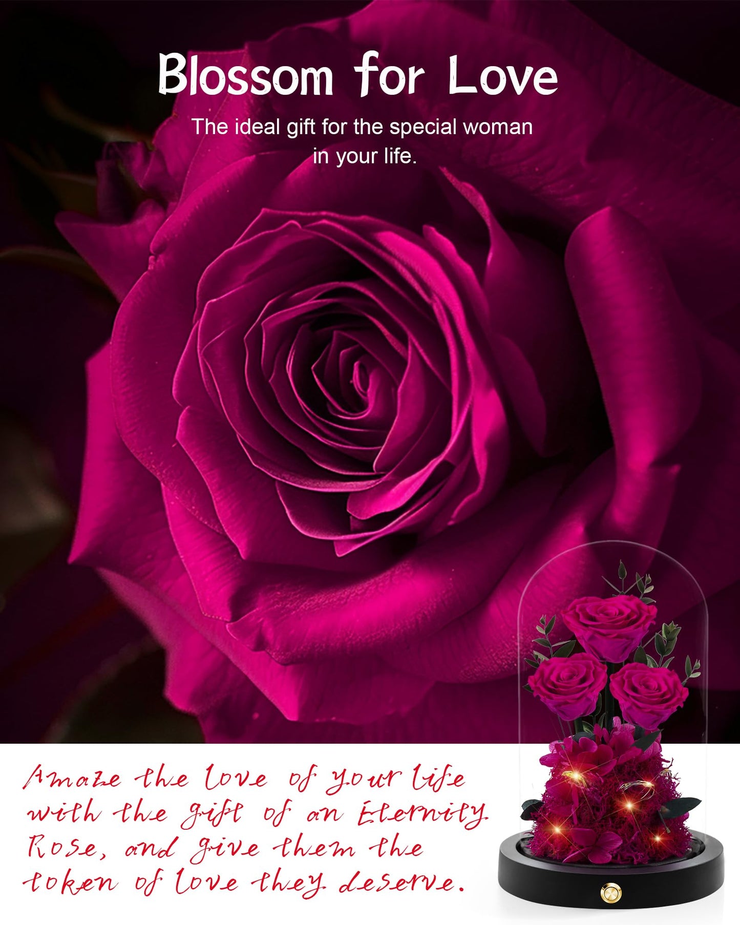 Valentines Day Flowers Roses Gifts for Her,Forever Real Preserved Roses in Glass Dome,Valentines Day Anniversary Birthday Gifts for Wife Girlfriend Women Mom Best Friend Her/Purple Rose