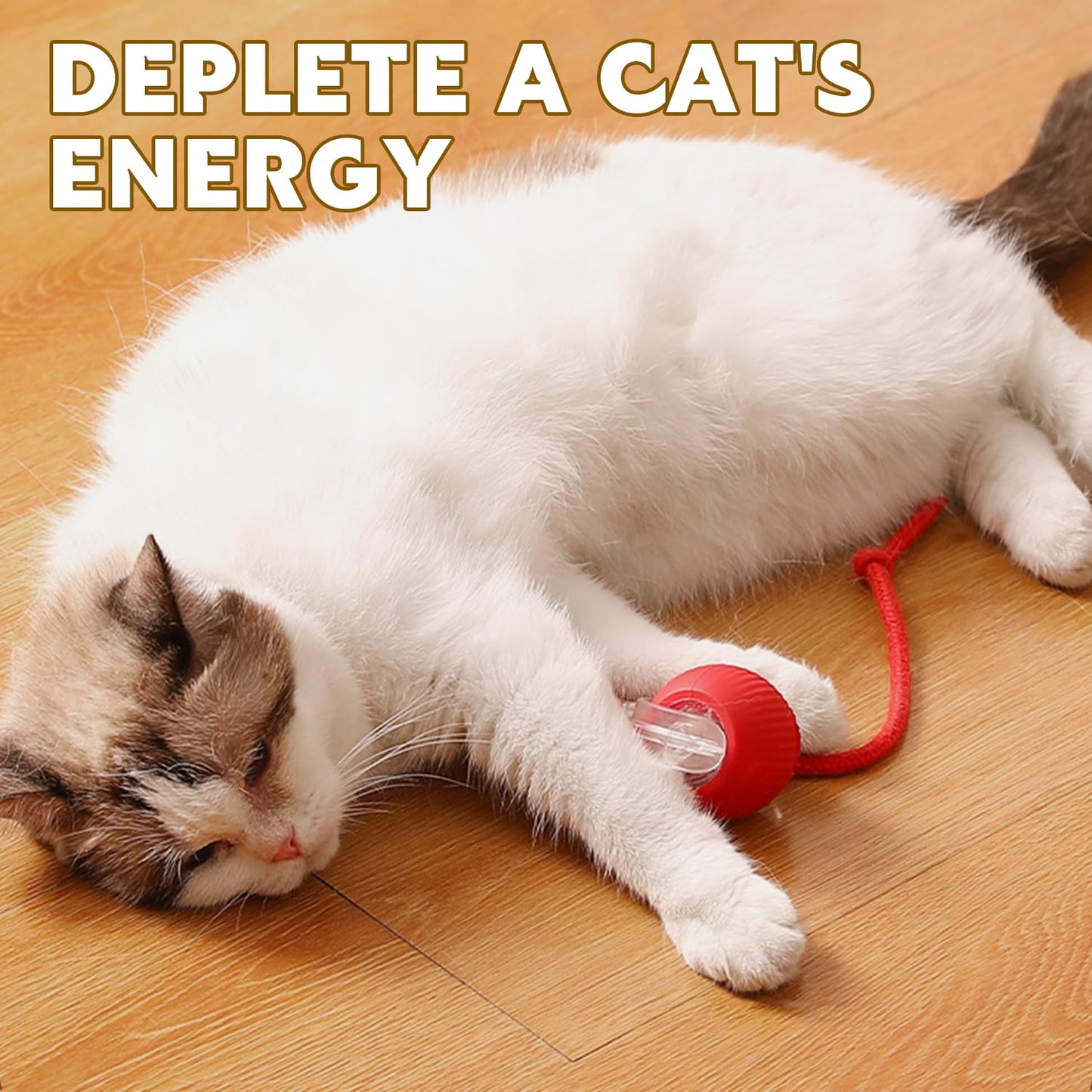 DVHNMK Chewie Viral Rolling Pet Ball, Interactive Cat & Dog Toy, 360 Smart Automatic Rolling Ball (Grey)