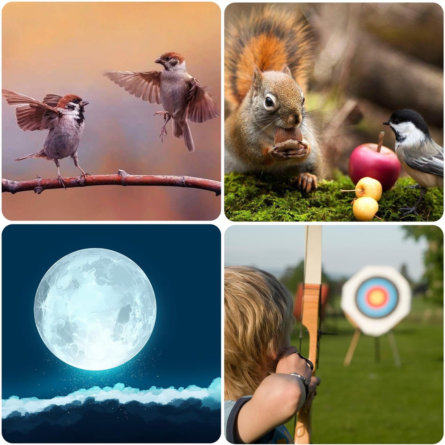 Gosky Flagship DiamondEdge 20-60x80 Spotting Scope with Tripod, Carrying Bag and Quick Phone Holder - BAK4 High Definition Waterproof Spotter Scope for Bird Watching Wildlife observing,Green