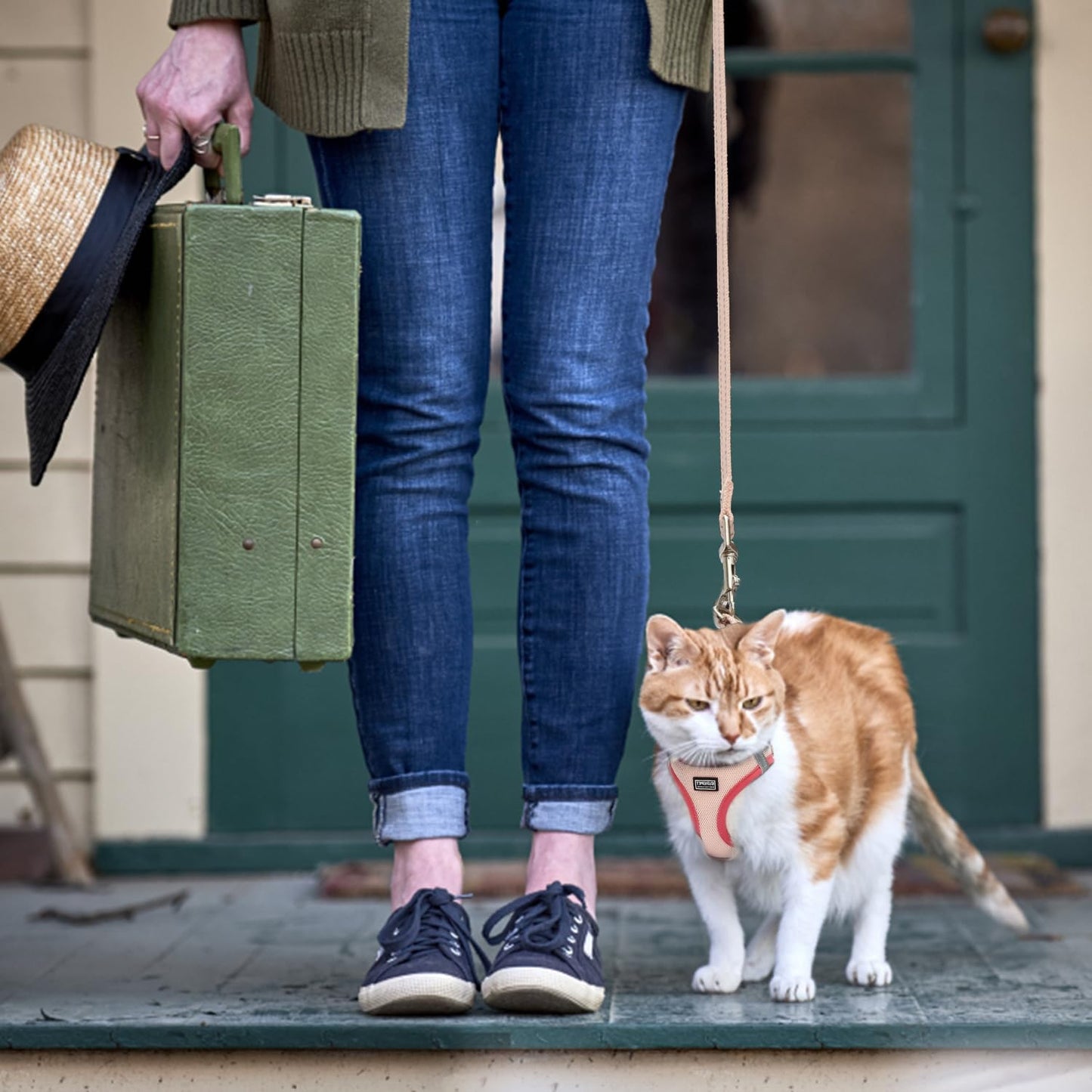 Betmaypet Cat Harness and Leash Set, Soft and Breathable Vest with Reflective Strip, Escape Proof Kitten Harness, Easy to Wear for Cats Walking and Traveling (Blue, M)