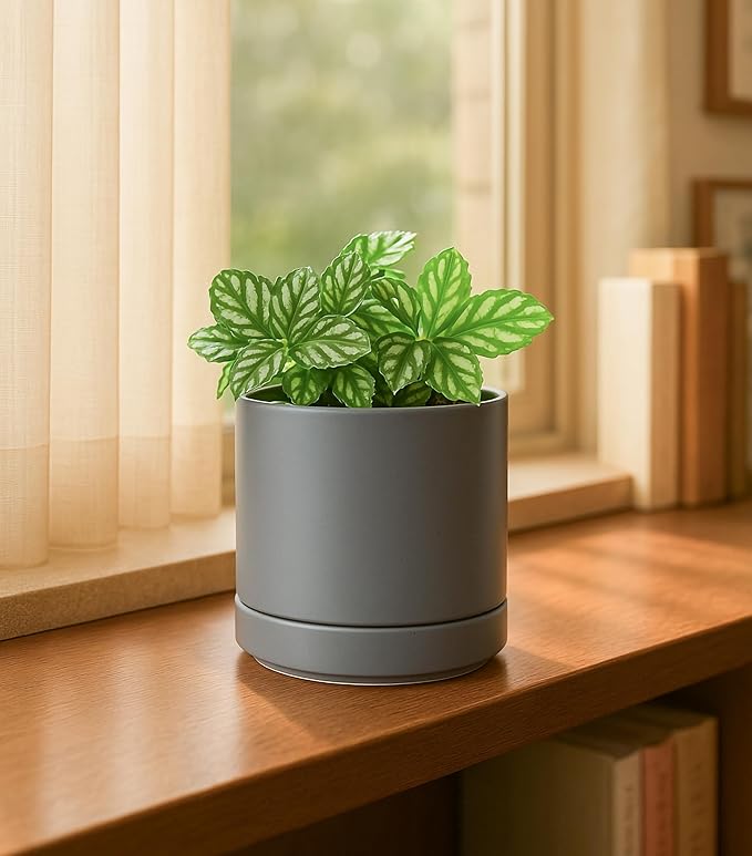 D'vine Dev Set of 4 Small Ceramic Plant Pots, 4.7 Inch Succulent Planter Pot for Plants with Drainage Hole and Saucer, Grey, 94-X-B-3