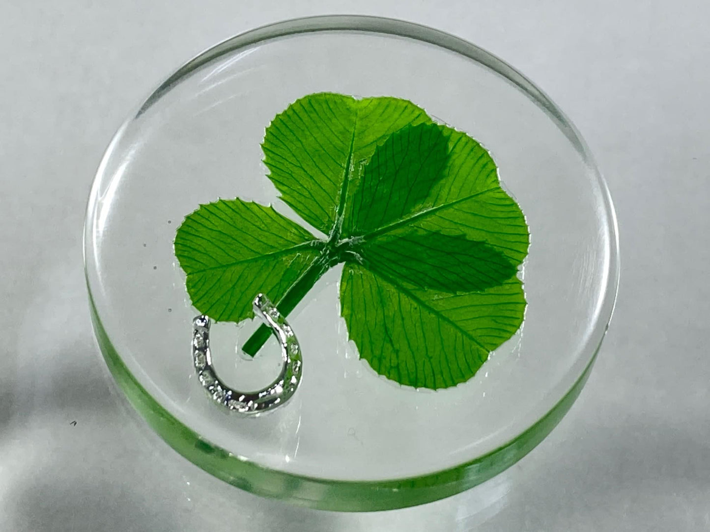 Real Four Leaf Clover Good Luck Pocket Token, Preserved, 1.25”, Including Metal Horseshoe Object (Silver)