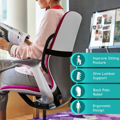 m zimoon Mesh Back Support, Mesh Lumbar Support Cushion Air Flow Chair Back Support with Elastic Strap Back Rest for Home Office Chair Car Seat Back Pain Relief