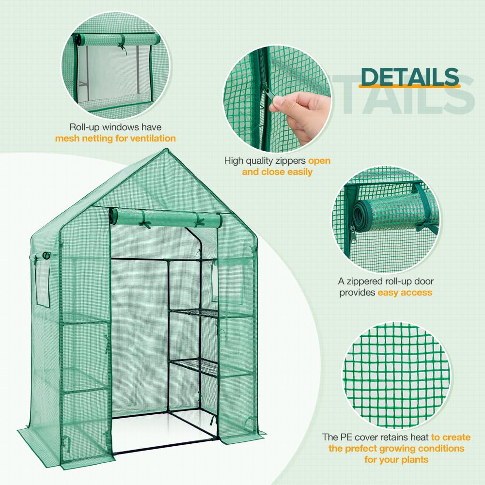 EAGLE PEAK Walk in 3-Tier Greenhouse with Wire Shelves, Portable Indoor and Outdoor Green House with Roll-Up Zippered Door & 2 Roll Up Side Windows, 4 Shelves, 61"x28"x79", Clear/Green PE Cover