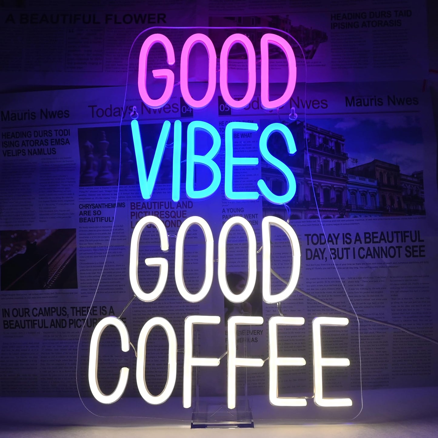 Horseneon Good Food Good Mood Neon LED Sign, Food Neon Signs for Wall Decor, Good Food Good Mood Neon Light with USB Powered for Snack Shop, Restaurant, Fast Food