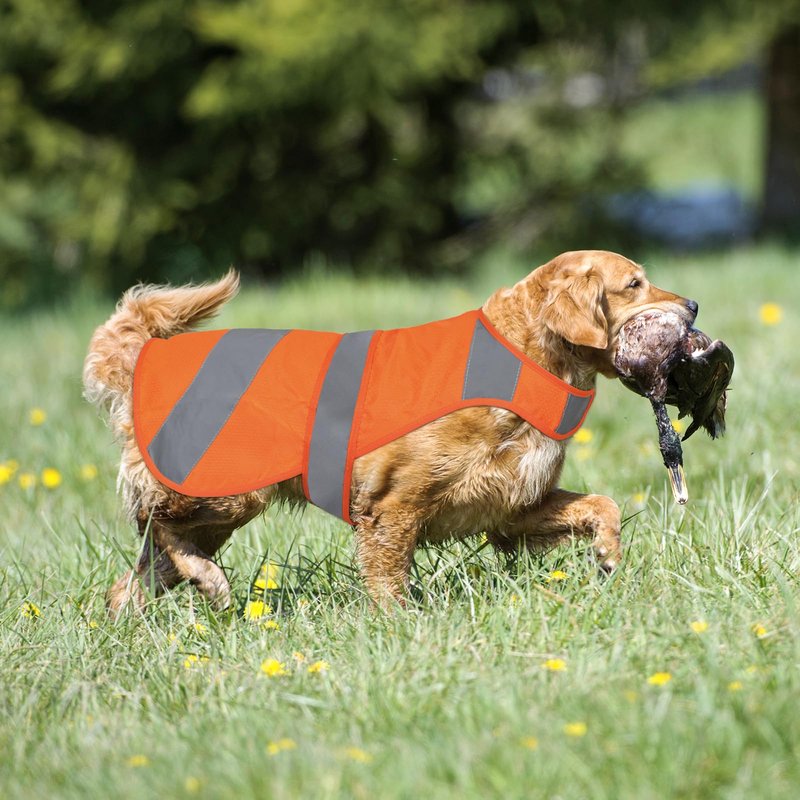 Orange High Visibility Safety Dog Vest, Hunting Jacket, Adjustable Soft Reflective Coat for Small Medium Large Dogs
