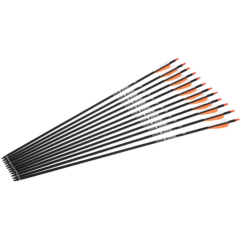 30Inch Carbon Arrow Practice Hunting Arrows Targeting with Removable Tips for Archery Compound & Recurve & Traditional Bow (Pack of 12)
