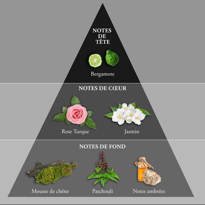 EVAFLORPARIS WHISKY SUGAR SKULL Eau de Toilette for Men – Bold Fragrance with Bergamot, Rose and Amber Notes – Inspired by Day of the Dead – Iconic Skull Bottle – Made in France – 3.4 Fl Oz