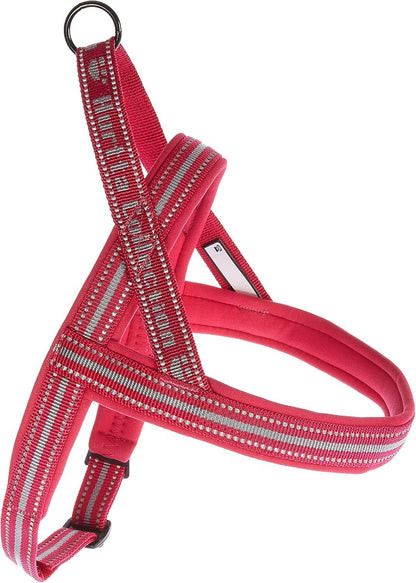 Hamilton Adjustable Comfort Nylon Dog Harness, Red, 5/8" x 12-20"