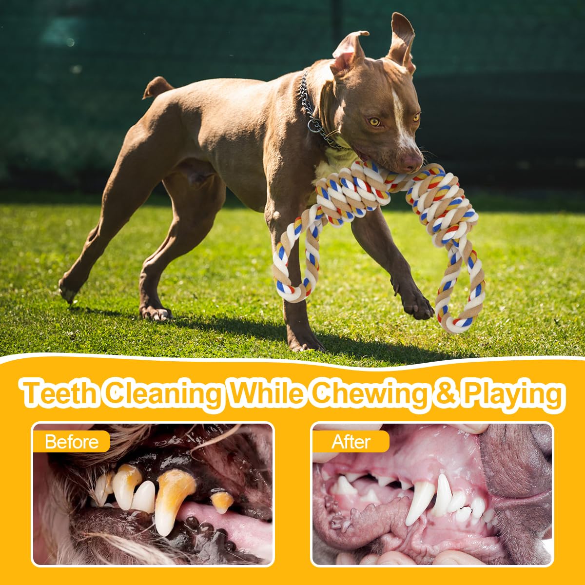 ETACCU Strong Dog Rope Toys for Large & Medium Dogs, 2 PCS Indestructible Rope Dog Toys for Aggressive Chewers, 100% Cotton Rope Dog Toys for Tug of War & Teeth Cleaning