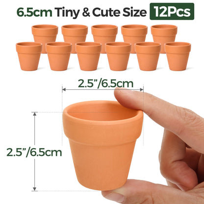 T4U 6.5CM Terracotta Plant Pots 12 Pcs, Mini Terracotta Pots with Drainage Holes, Small Clay Pots for Crafts, Small Plant Pots for Succulent Cactus Plants, DIY Mini Flower Pot, Gifts for Party Decor