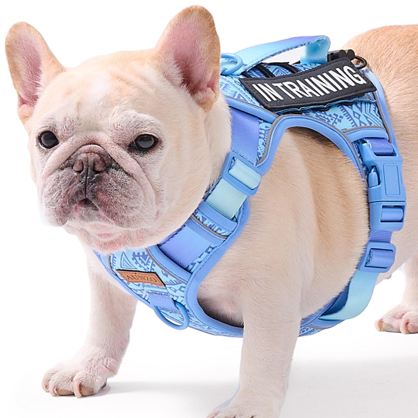 Dog Vest Harness for Medium Sized Dogs No-Pull Tactical Harness with 2 Metal Leash Clips, Easy On/Off with Neck Buckle, Adjustable Soft Padded Reflective Oxford Dog Vest with Easy Control Handle