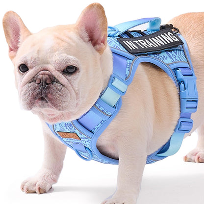 Dog Vest Harness for Medium Sized Dogs No-Pull Tactical Harness with 2 Metal Leash Clips, Easy On/Off with Neck Buckle, Adjustable Soft Padded Reflective Oxford Dog Vest with Easy Control Handle