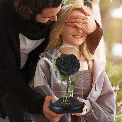 SW Forever Preserved Real Black Rose Flower Birthday Gift for Mom Women,Valentines Eternal Flower in Glass Gifts for Mothers Day Christmas Anniversary Birthday (Black)
