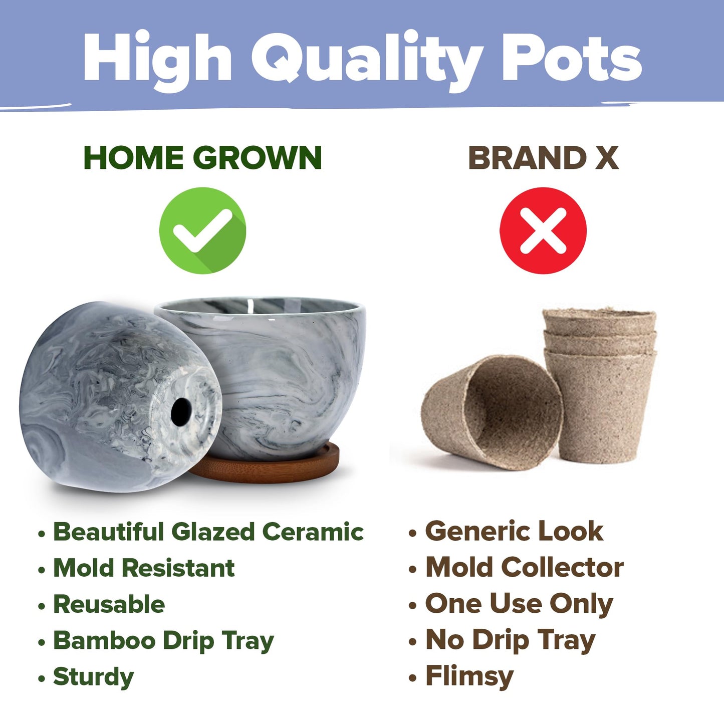 Home Grown Bonsai Tree Kit – Premium Ceramic Starter Set with 4 Bonsai Varieties – Easy Indoor Gardening Gift for Men & Women – Unique Plant Kit for Beginners & Nature Lovers