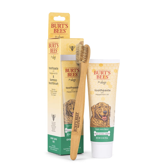 Burt's Bees for Pets Naturally Derived Oral Care Kit - Dog Dental Kit with Toothpaste & Bamboo Toothbrush - Dog Toothbrush and Toothpaste with Honeysuckle & Peppermint Oil, Fresh Mint Flavor (2.5 oz)