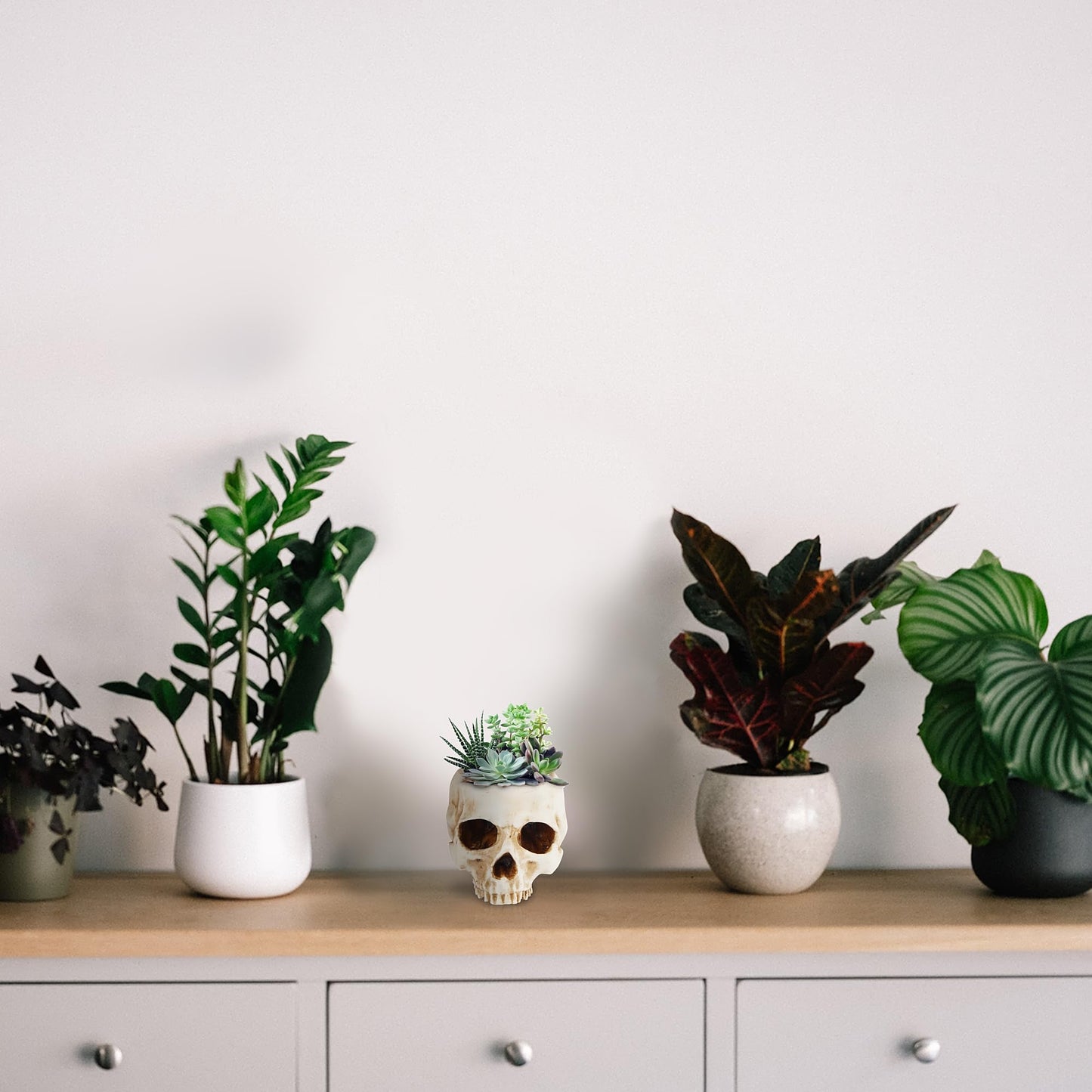 READAEER Skull Planter with Drain Hole, Resin Skull Shaped Flower Pot Candy Bowl, Gothic Decoration for Home Office Desk- White
