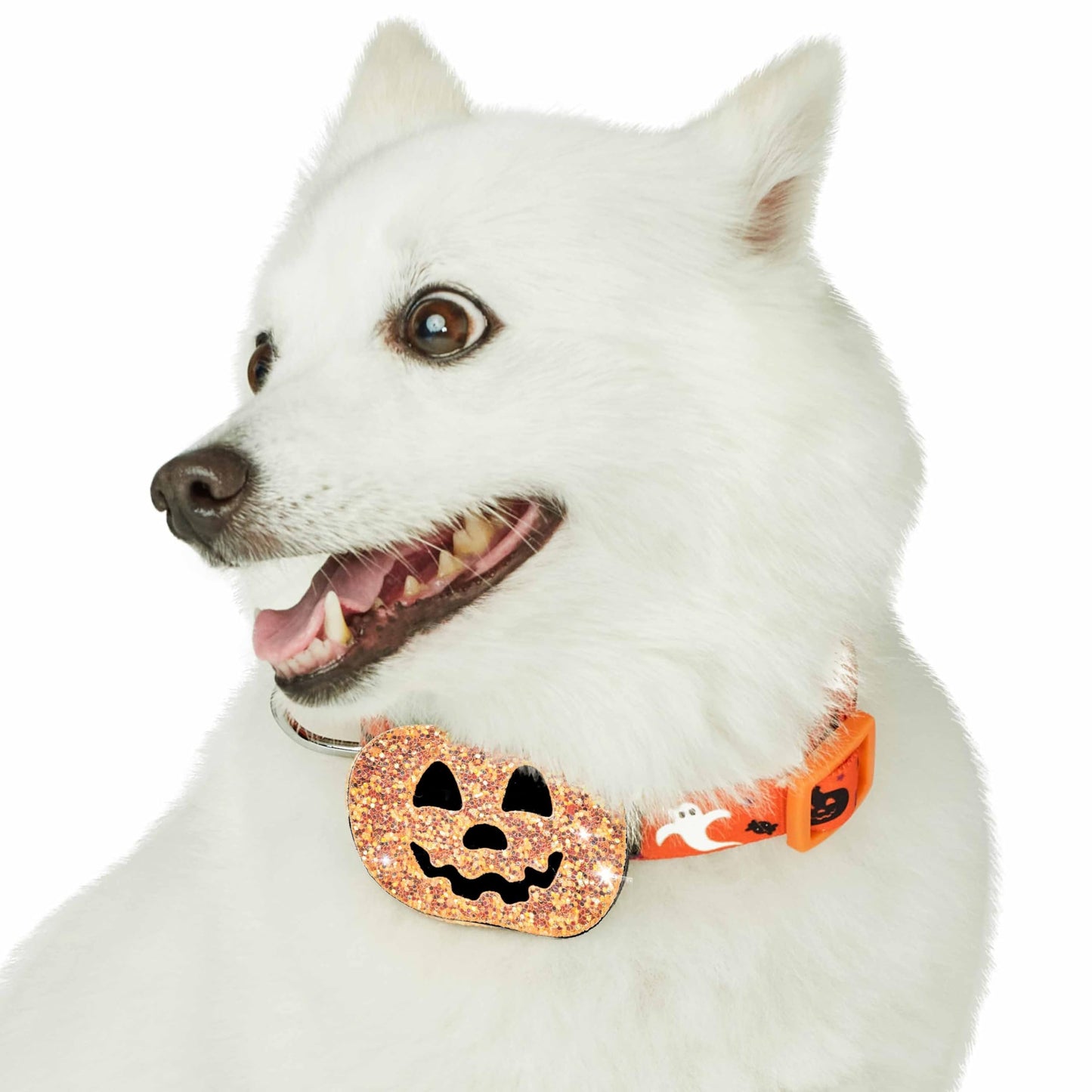 Blueberry Pet Halloween Party Adjustable Dog Collar with Detachable Pumpkin Accessory, Small, Neck 12"-16"