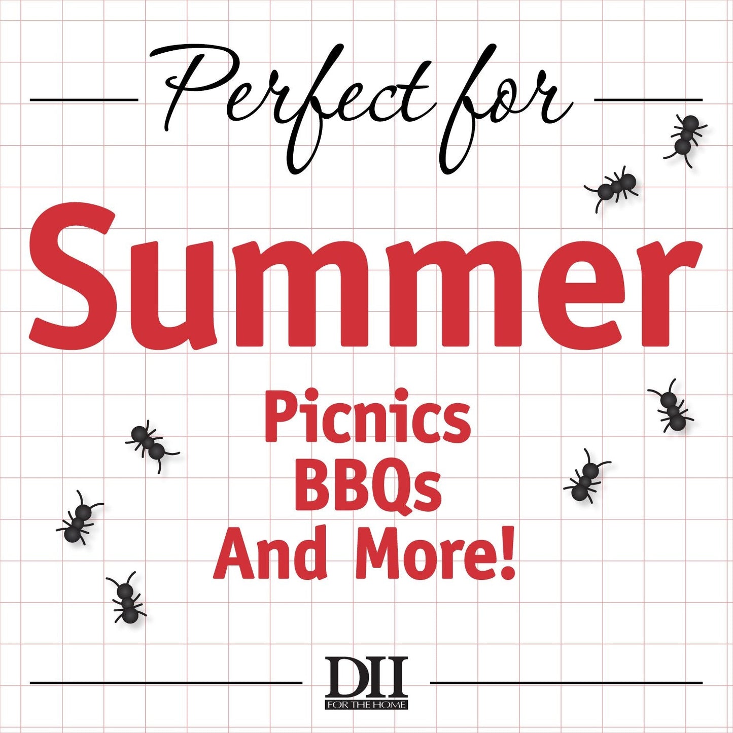 DII 100% Cotton, Tonal Fringe, Variegated, Machine Washable, Everyday Kitchen Basic Placemat, Set of 6, Light Blue