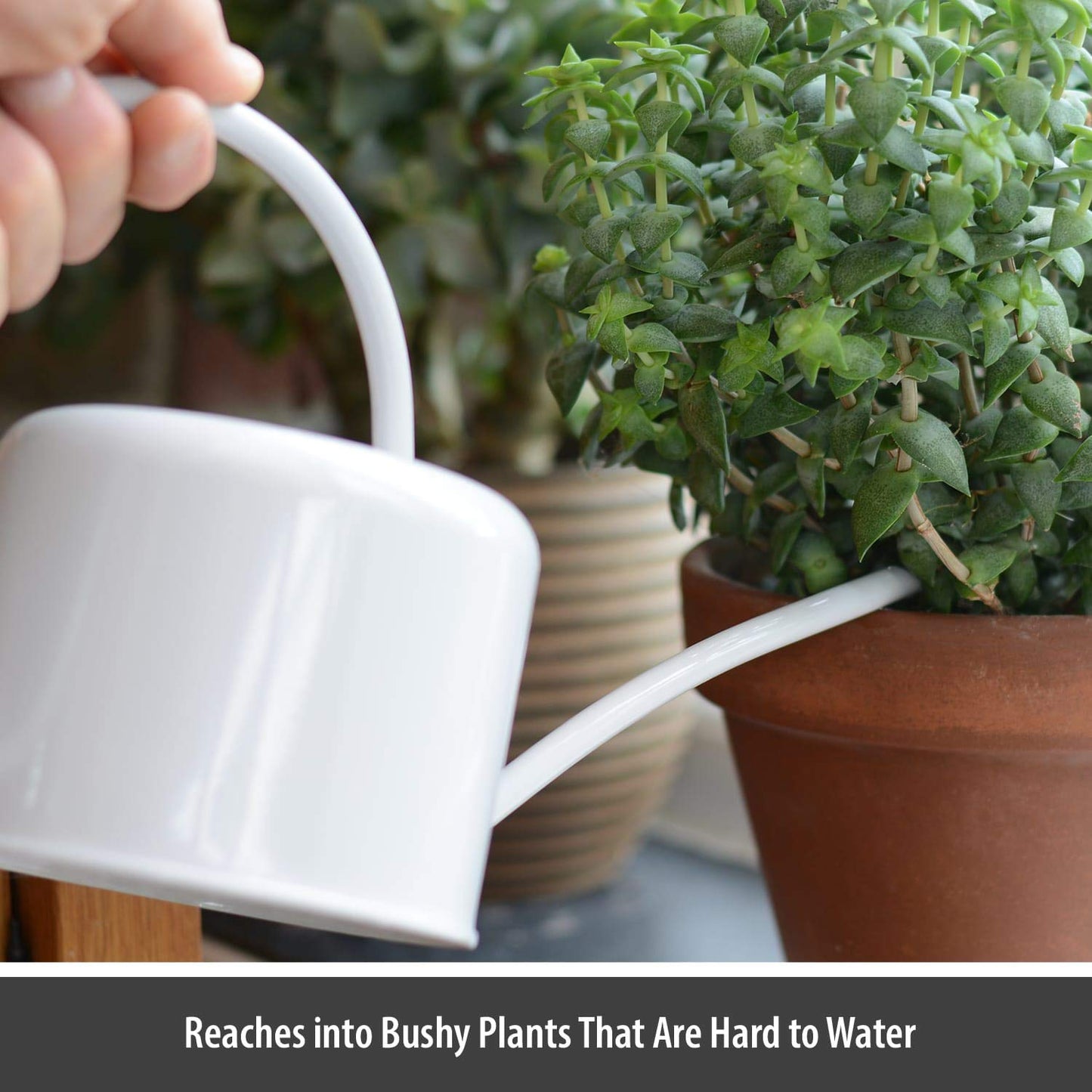 CKB Ltd® Small 1.1L Indoor Watering Can - Chalk White Coloured Galvanised Powder Coated Steel - For Houseplants Contemporary Metal Design With Narrow Spout And High Handle (Chalk)