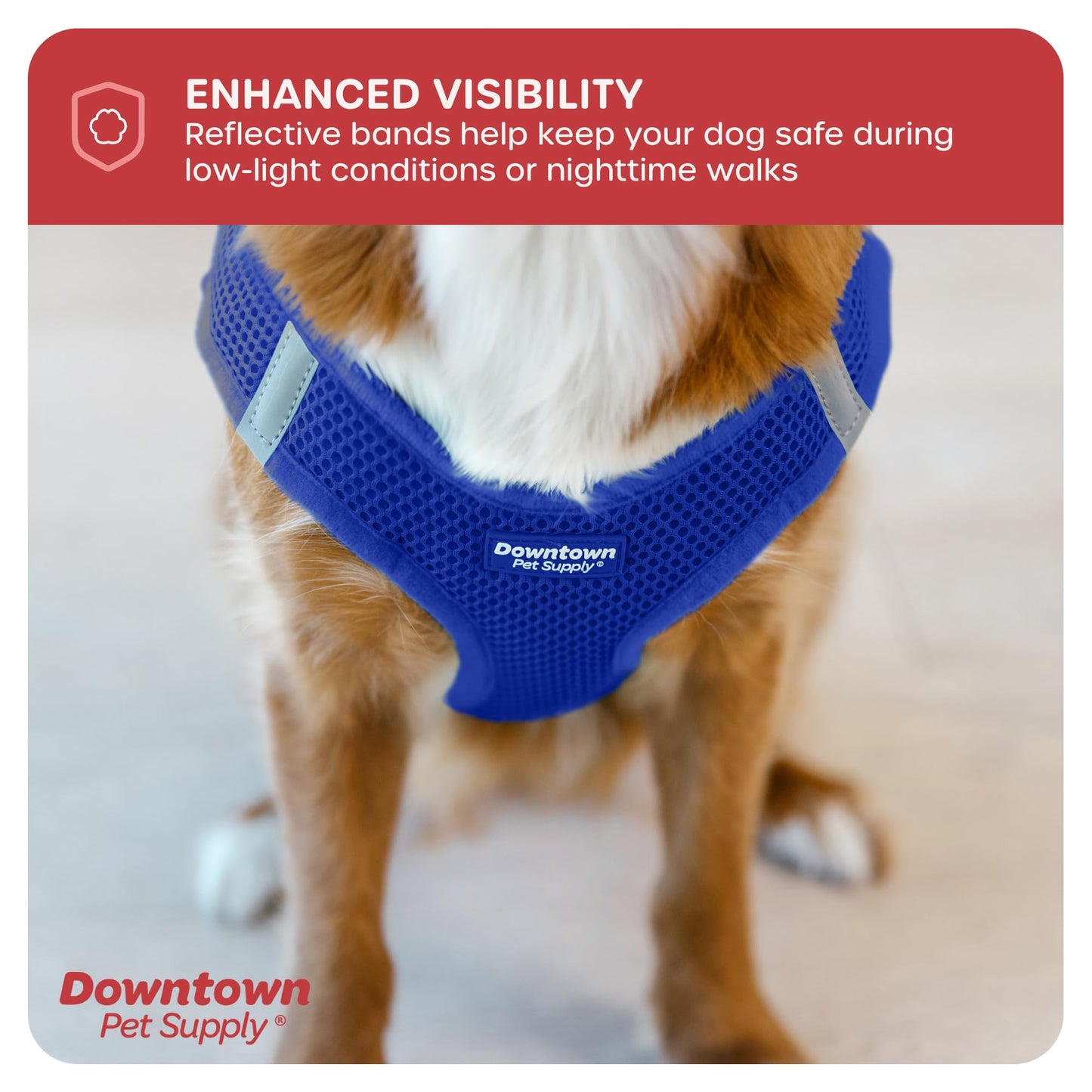 Downtown Pet Supply Step in Dog Harness for Small Dogs No Pull, Small, Blue - Adjustable Harness with Padded Mesh Fabric and Reflective Trim - Buckle Strap Harness for Dogs