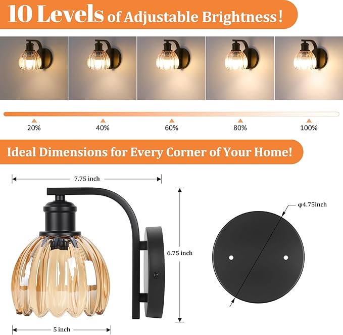 Rechargeable Battery Operated Wall Sconce Set of Two with Amber Glass Lampshade, Wireless Wall Scone Decor with Remote Control, 15 Colors Black Wall Light for Bedside Hallway Bedroom Doorway