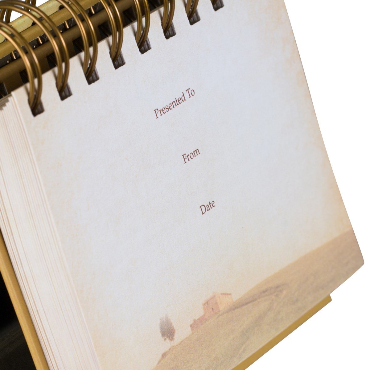 God's Promises Day by Day: 365 Inspiring Thoughts - Perpetual Calendar DayBrightener from DaySpring