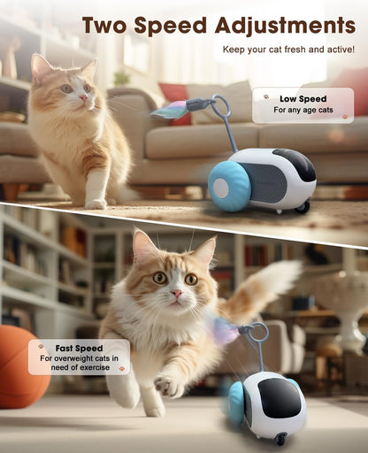 AIPERRO Cat Toys for Indoor Cats, Smart Interactive Cat Toy with Two-Speed Adjustment, Remote Control USB Rechargeable Automatic Cat Exercise Toys for Bored Indoor Adult Cats Kittens (Blue)