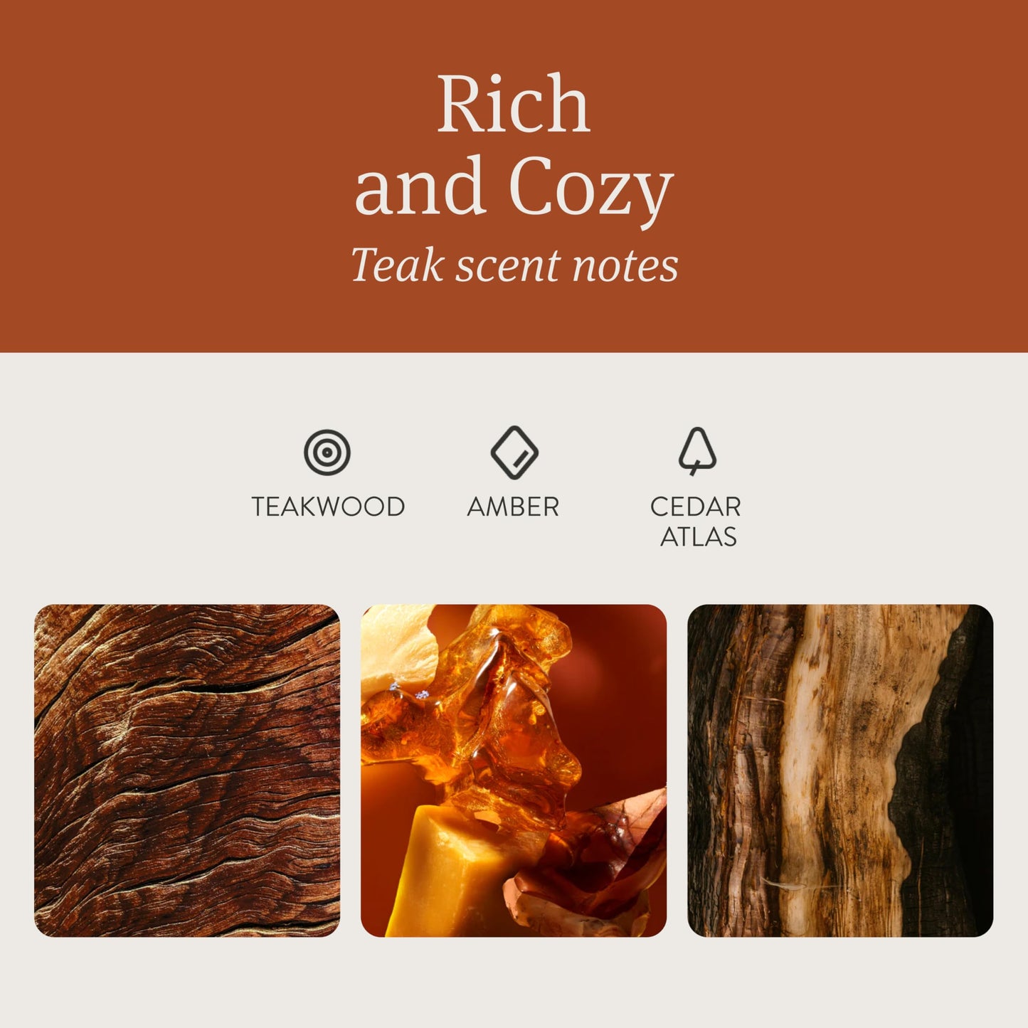 Drift Car Air Freshener - Wood Air Freshener - Car Odor Eliminator - Teak Scent Starter Kit