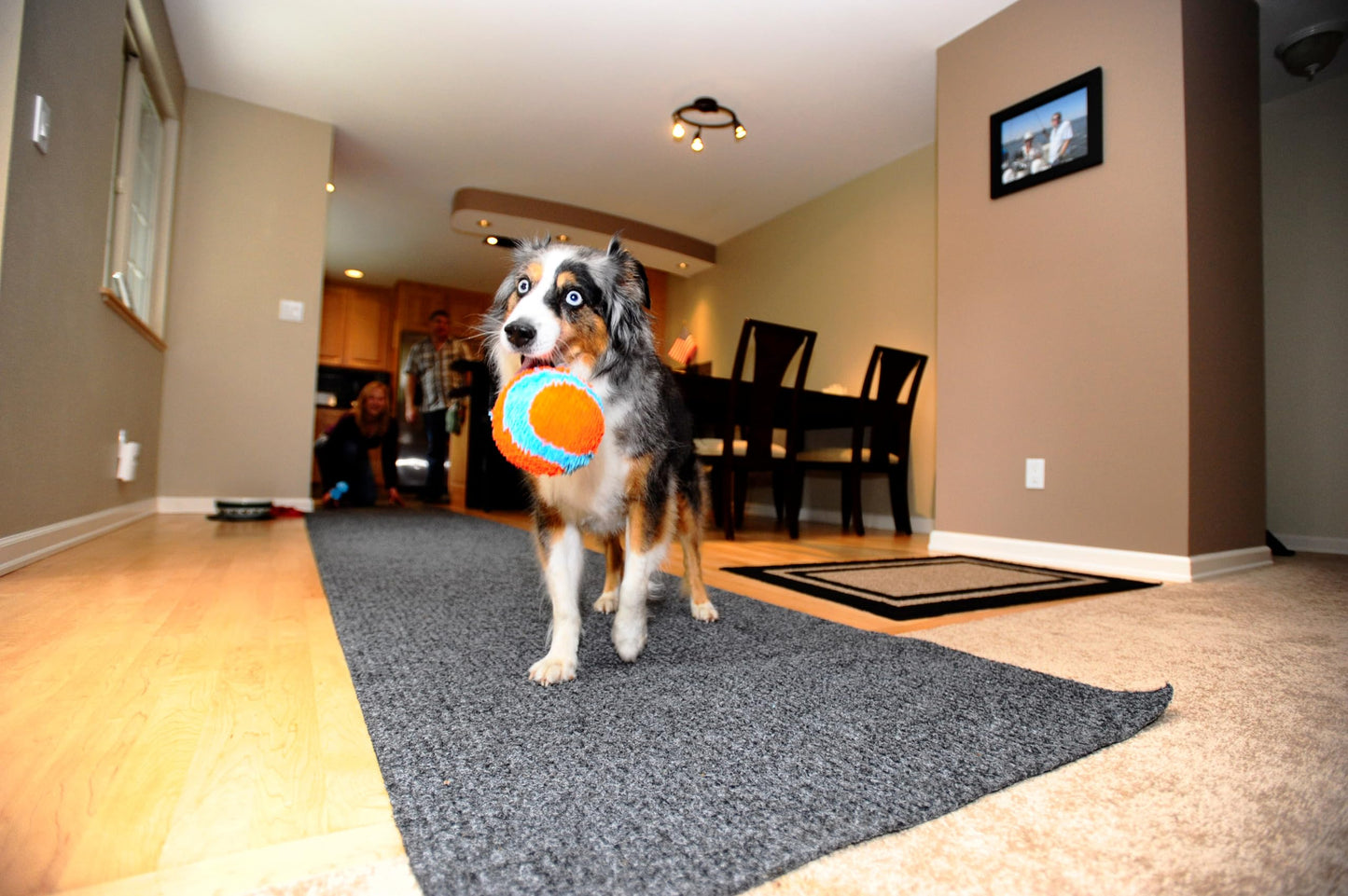 Chuckit! Indoor Dog Ball Dog Toys No Stuffing Dog Toys, Interactive Toys For Dogs Soft Ball Toy for Boredom, Medium 11cm