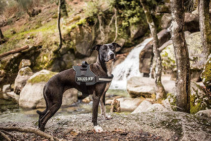 JULIUS-K9Powerharness, Size: M/0, Anthracite