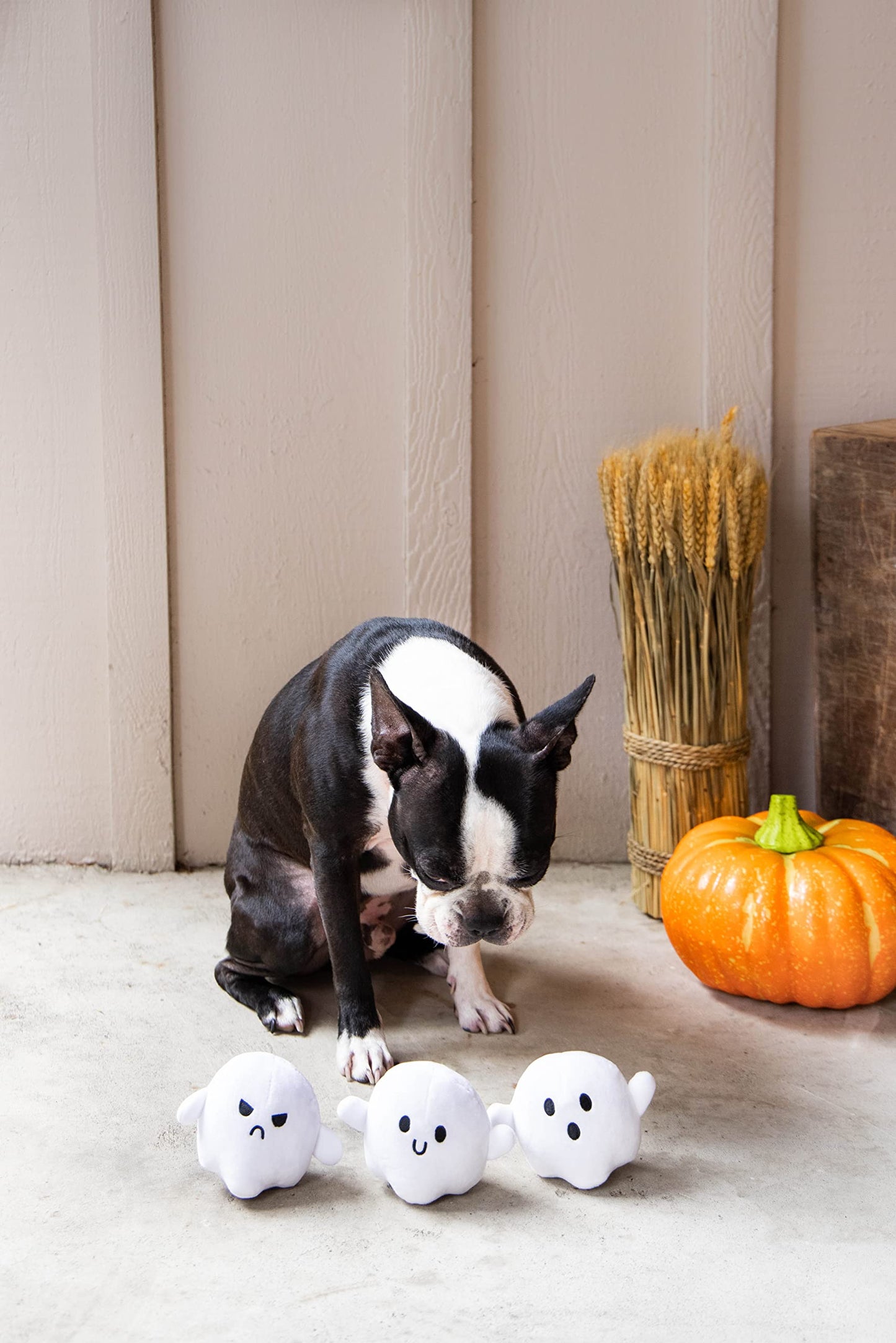 Pearhead Halloween Ghost Dog Toy Set, Plush Squeaky Pet Chew Toys for Dogs, Durable Soft Plush Fabric, Interactive Multi-Pack Value Gift for Puppies and Small to Medium Breeds
