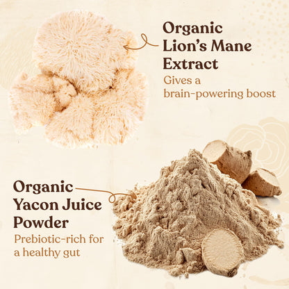 Four Sigmatic Dark Roast Organic Whole Bean Coffee | Gourmet Nootropic Mushroom Coffee Beans with Lion's Mane & Chaga Mushrooms for Enhanced Brain Function and Immune Support | 12oz