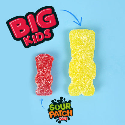 SOUR PATCH KIDS Big Kids Individually Wrapped Soft & Chewy Candy, Bulk Candy, 240 Count Box