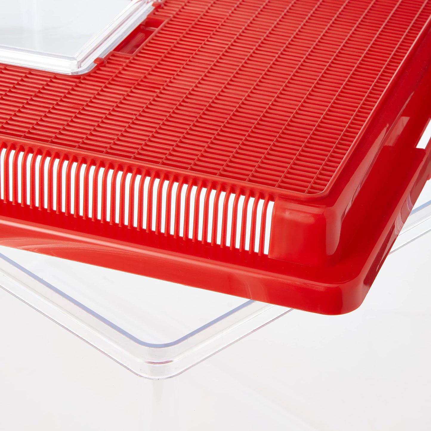 Ferplast Plastic Container for Small Animals GEO EXTRA LARGE Aquarium Tank 11 L for Fishes Terrarium Turtles Insects, Sturdy Plastic, Ventilation Grills, 35,6 x 23,4 x h 22,8 cm Red