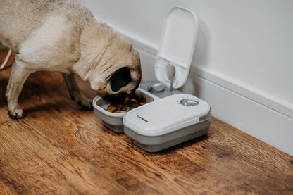 Cat Mate C200 Automatic 2 Meal Timer-Controlled Pet Feeder (401) - For Cats and Small Dogs, Includes Ice Pack for Wet and Dry Food, Meals up to 400 g Each, White
